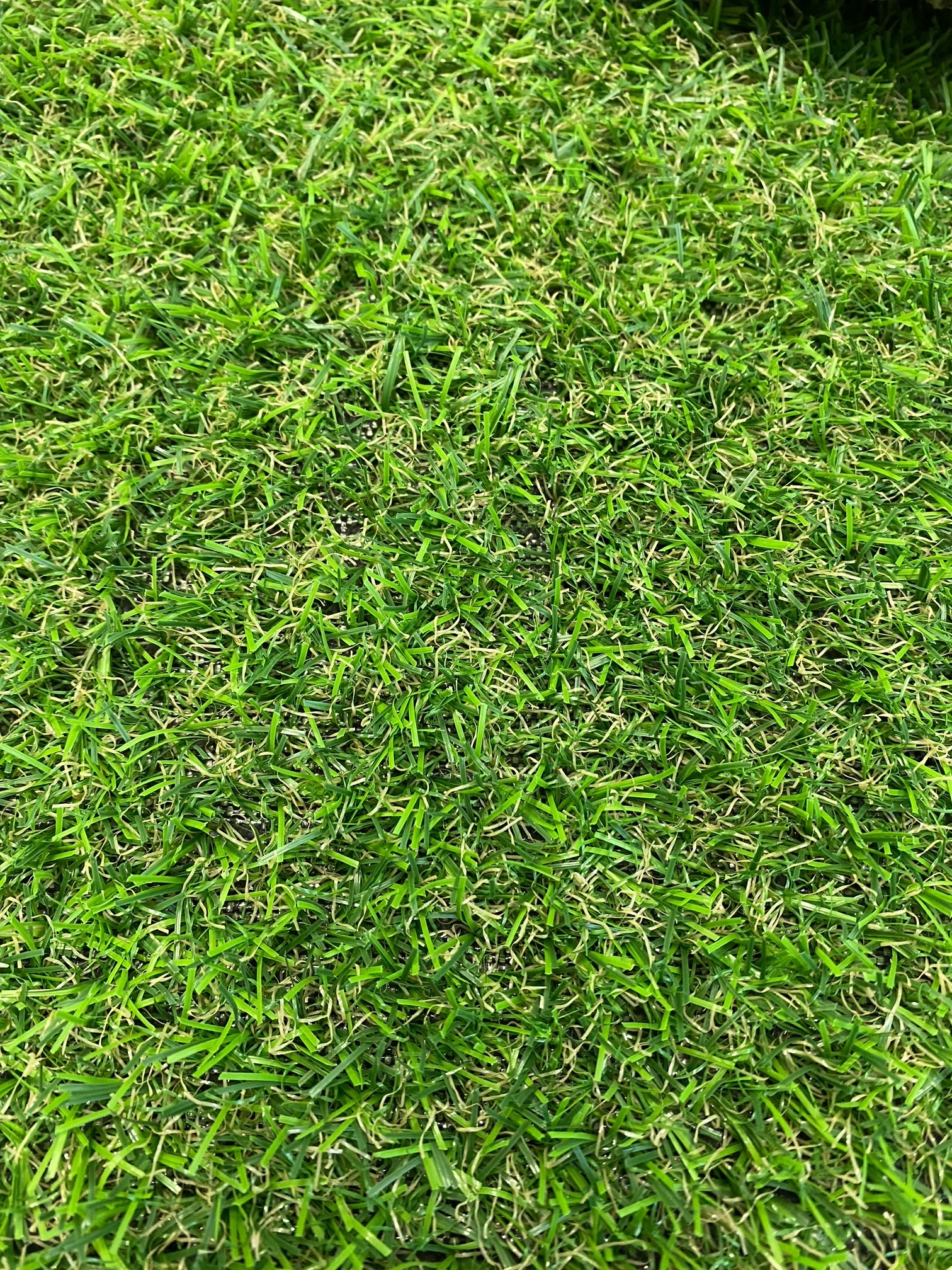 Artificial Grass (4m Width) 15mm (Gardenia)